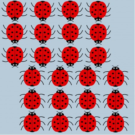 24 Red Ladybird stickers