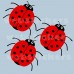 24 Red Ladybird stickers