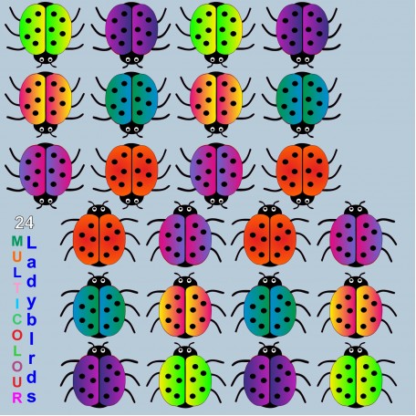 24 Multi Colour Ladybird stickers